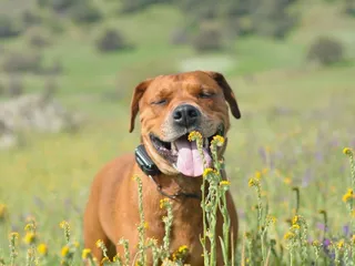 Cronan Ranch Trails Park