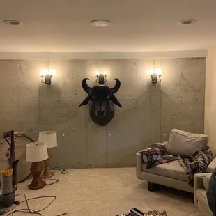 Mr Buff in my basement.