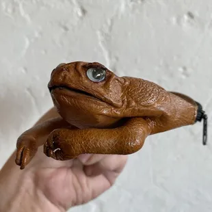 Cane toad zipper pouch