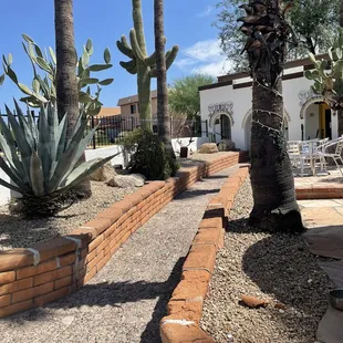 a courtyard with cactus and cacti