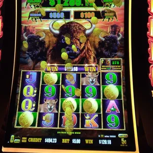Show me the Buffalo Cash on Buffalo Link, I hit the incredibly rare 5 coin trigger on a $5 bet. 100X to start 20 free games! October 2023