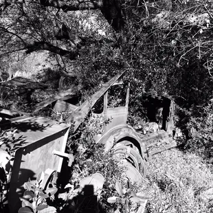 an old truck in the woods