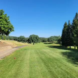 Hole 2 about 350 yards from white teebox with uphill slope.