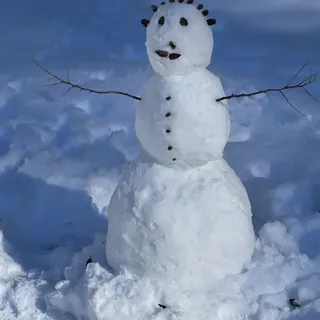 BJ G.