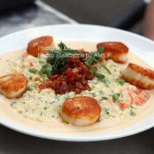 Day Boat Scallops ($38) - Pearled cous cous, peas, carrot cauliflower puree, truffle scented tomato and bacon jam, local pea tendrils