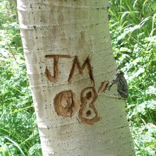 jim m.
