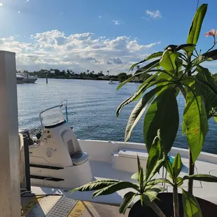 Looking out into the water  from my table.