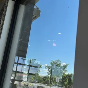 At least four flies on this window
