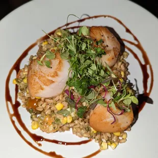 Scallop special