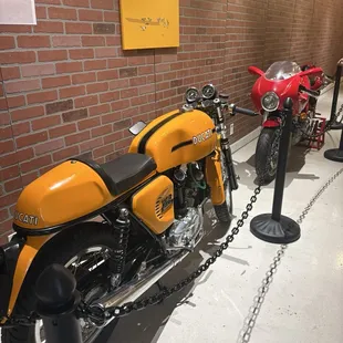 Ducati bikes, there's more in the back.