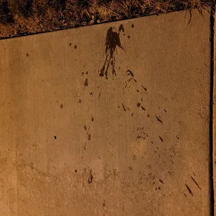 Splatter from baby food jar thrown at me by dumpster diver at Black Sand.