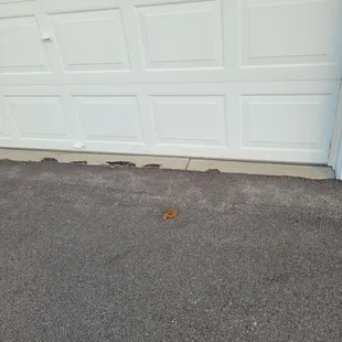 Human feces in front of garages I rent.  Work order deleted from my portal by staff.