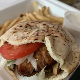 a chicken pita and french fries
