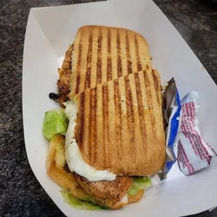 Chicken pesto panini