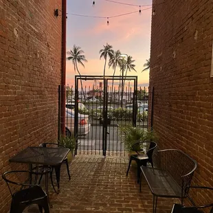 Our lovely courtyard at sunset