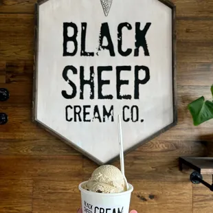 Ice Cream bowl