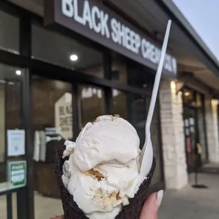 Notorious PIG in a choco cone