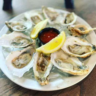 Oysters
