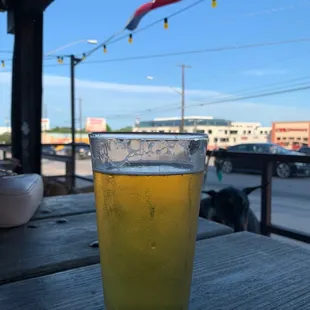 Dog friendly open patio w lots of beer selections and daily specials