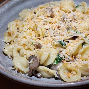 Mushroom Orecchiette