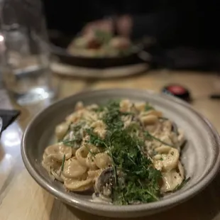 Orecchiette