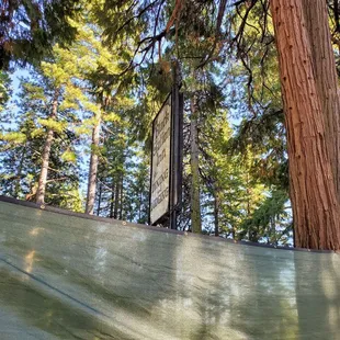 Dining under the pine trees, perfect for COVID era dining