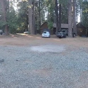 With very large pine trees all around