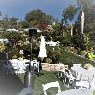 Set up by Black Swan