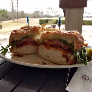 a sandwich on a plate