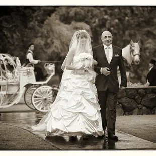 Horse and Carriage Precession