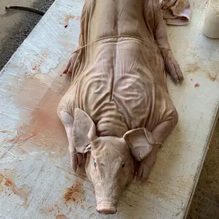 Whole hog preparation..