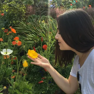 Lily T.