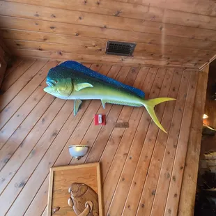 Mahi-mahi