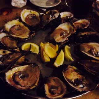 Oysters