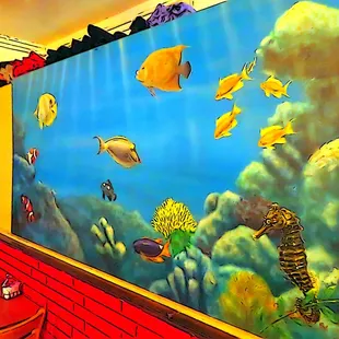 a fish tank