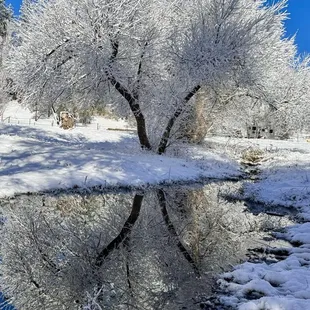 Winter while the inn is closed
