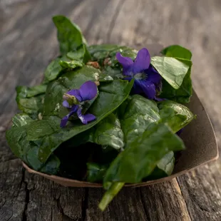 Farm fresh local spinach with organic dressing topped with a flower garnish