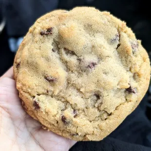 Chocolate Chip Cookie