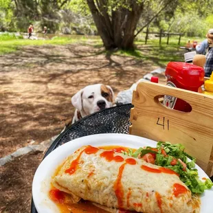 Smothered Breakfast Burrito (feat. my hungry pup)