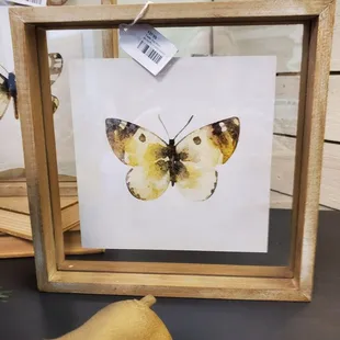 Beautiful framed butterfly