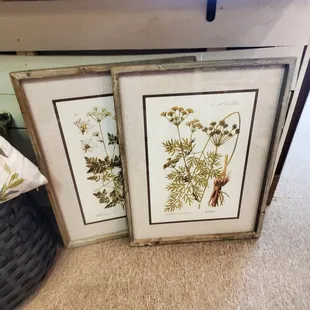 Framed art