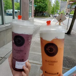 We ordered two drinks - the peach coconut with crema and the Grape Cheezo