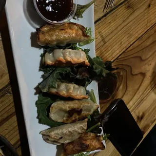 Korean Style Potstickers