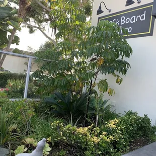 12/26/22 We're in Seal Beach