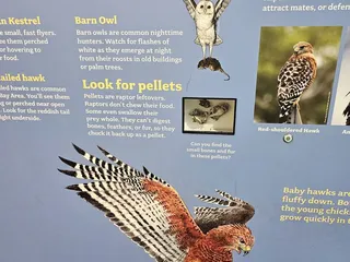 Lindsay Wildlife Experience