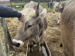 Freedom Farms Farmers Market
