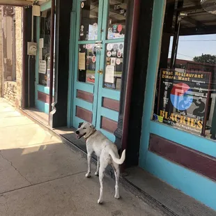 Scouts always the 1st one here when we open!