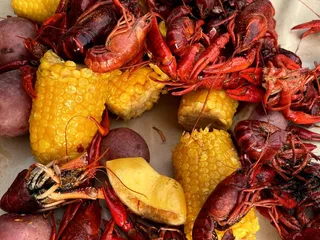 Wilfong's Cajun Shack and Oyster Bar