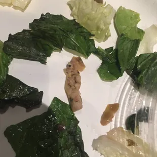 Nasty wilted and mushy lettuce. The brown thing in the middle is a mushy disintegrated green olive.