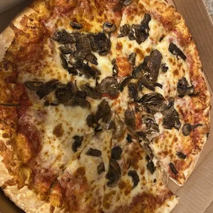 Mushroom pizza
